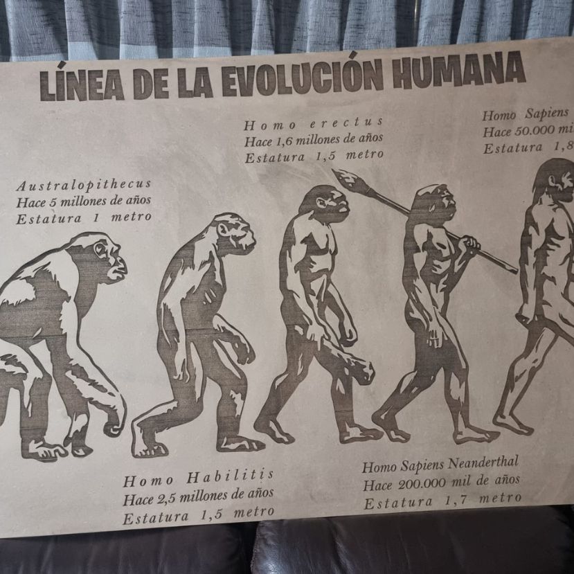Plancha de MDF grabada con la línea de la evolución humana