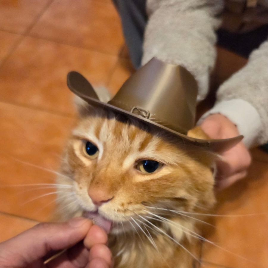 Gato naranjo usando un sombrero vaquero impreso en 3D